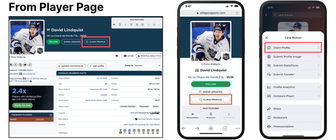 Verify Profile - from Player Page